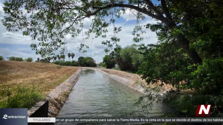 Construcción Del Muro Fronterizo Alarma A Comunidades Y Santuarios Naturales