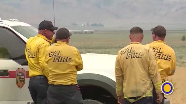 Incendios Forestales Y Ola De Calor: Alerta En California, Colorado Y Europa