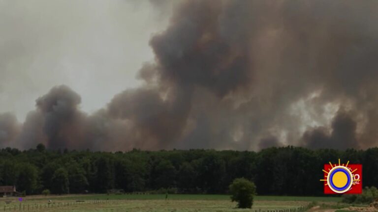 Incendio Forestal Devora El Sur De París Mientras Europa Padece Ola De Calor