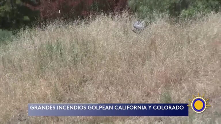 Incendios Forestales Y Ola De Calor: Alerta En Estados Unidos Y Europa