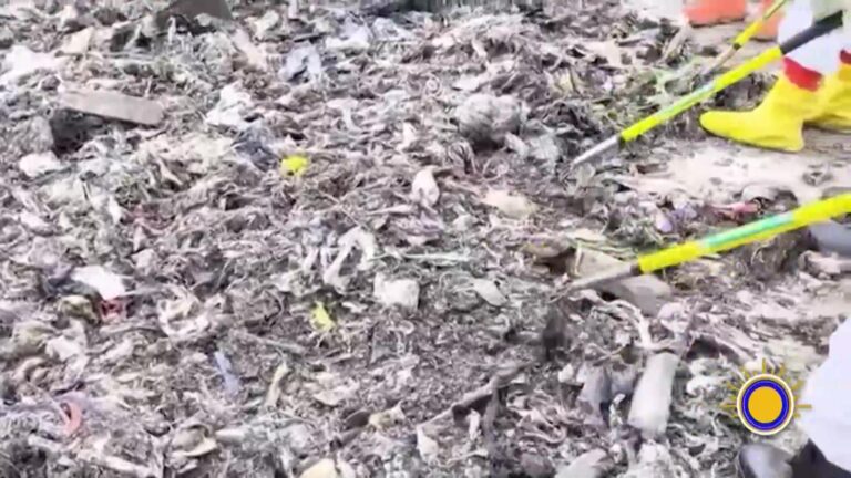FBI Investiga El Asesinato De Un Adolescente Y Búsqueda De Restos En Luisiana