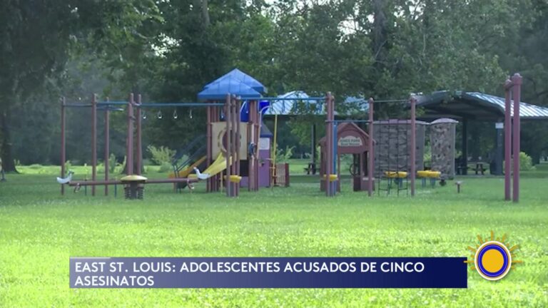 Adolescentes Acusados De Matar A Cinco Personas En El Este De San Luis