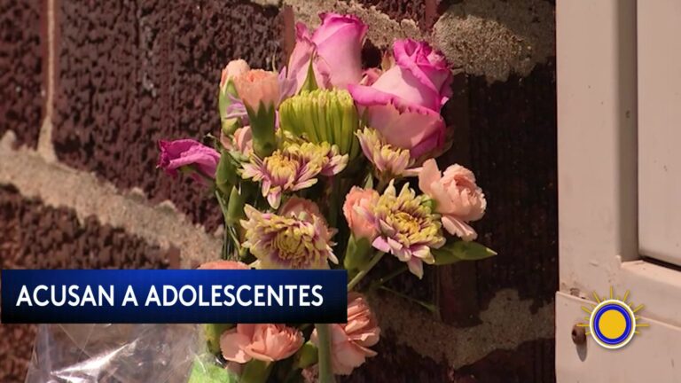 Acusan A Adolescentes De Cinco Asesinatos En Illinois
