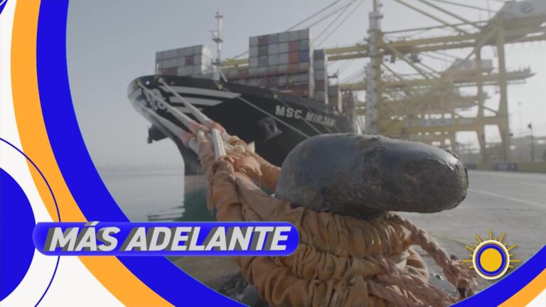 Estados Unidos Impondrá Arancel Del 25% A Importaciones Desde Brasil arancel