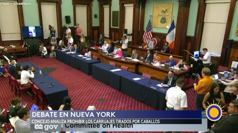 Carruajes De Caballos NYC: Debate Sobre Carruajes De Caballos En Nueva York Tras Fatal Accidente