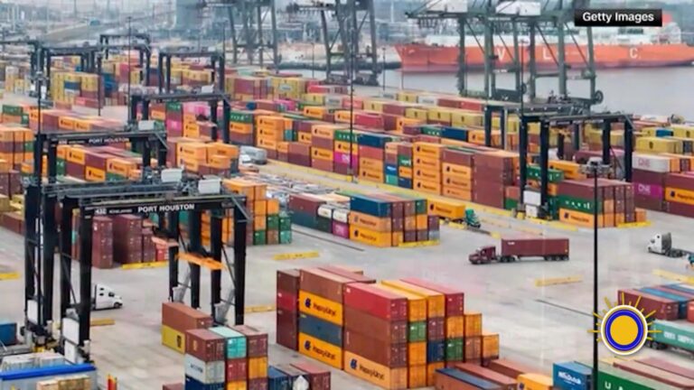 Estados Unidos: EE.UU. Impone Nuevos Aranceles A Importaciones De Brasil