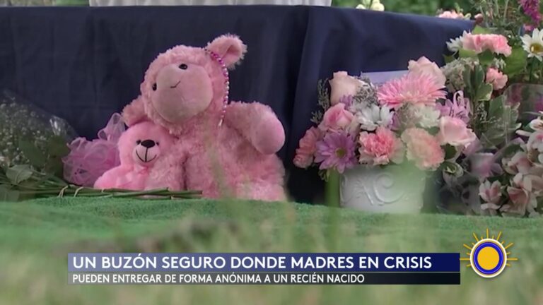 Safe Haven Baby Box: Nuevo Refugio Para Recién Nacidos En Crisis En Ohio