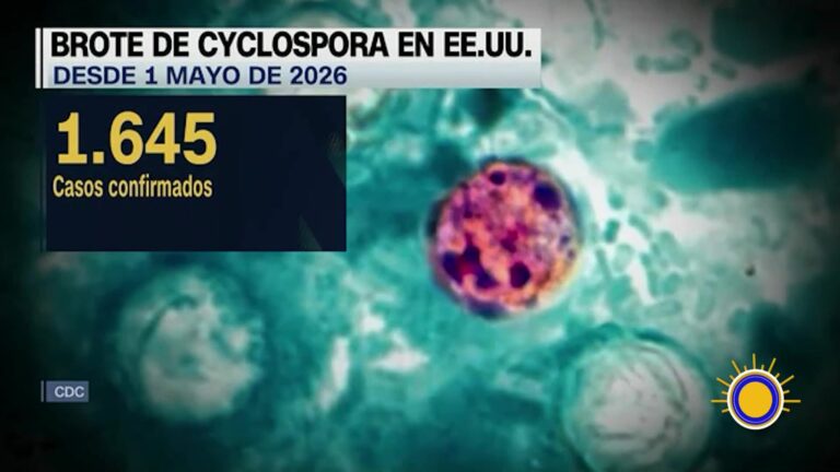 Alarma Por Brote De Parasitosis En EE.UU.: Todo Sobre El Aumento De Casos De Ciclospora ciclospora