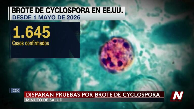 Brote Multiestatal De Ciclospora Preocupa A Autoridades De Salud Pública ciclospora