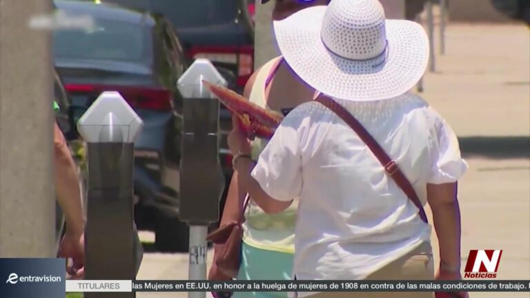 Entrega De Ventiladores: Entregan 500 Ventiladores A Familias Vulnerables En La Calle Buford