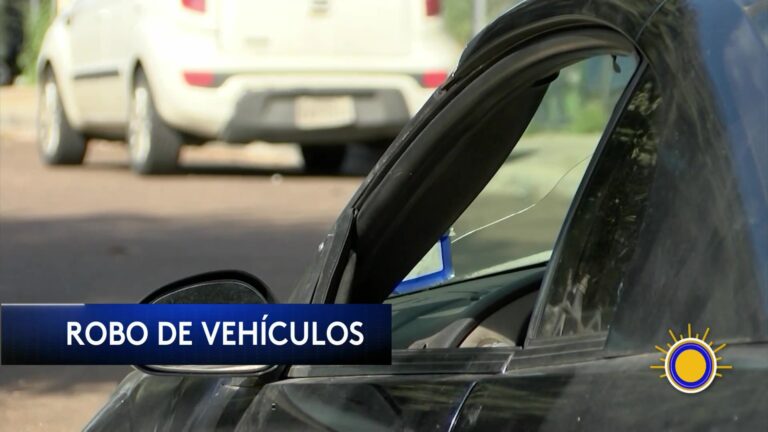 Expertos Hacen Llamado Para Prevenir Robo De Vehículos En EE.UU. robo de vehículos